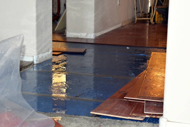 Professional Basement Flood Cleanup technician working in Bloomfield, IA